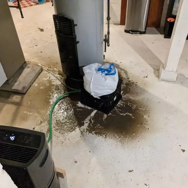 Sewage Backup Cleanup Service in Oak Hills, PA